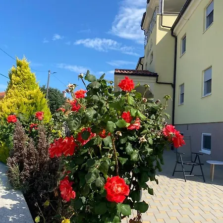 Livi - Luxury Sea View Appartments Apartman